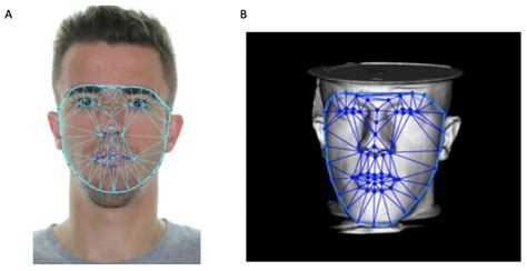 Realistic Facial Three-Dimensional Reconstruction from CT Images and 2D ...