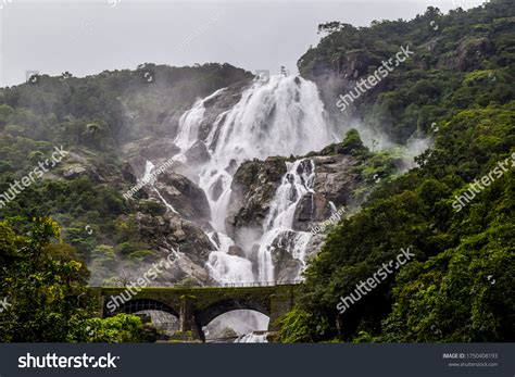 Goa Wildlife Stock Photos and Pictures - 4,338 Images | Shutterstock