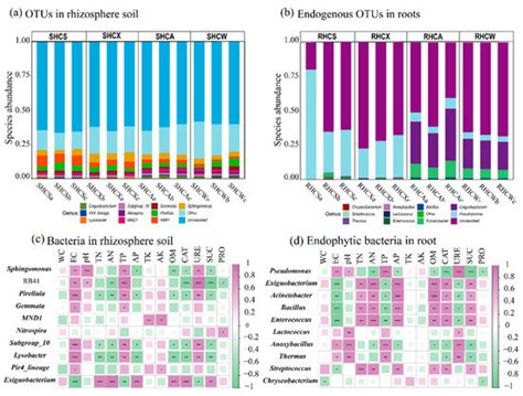 Changes of Key Soil Factors, Biochemistry and Bacterial Species ...