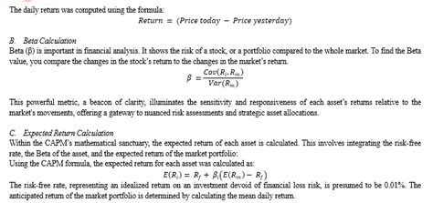 A Comprehensive Exploration of the Capital Asset Pricing Model