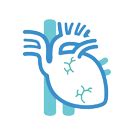 Therapeutic Areas - Zentiva.in