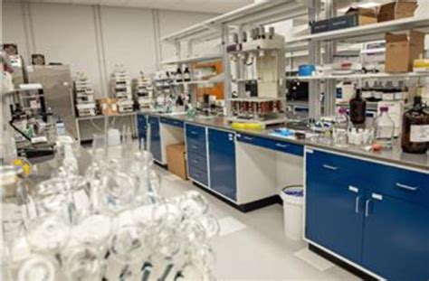 Image result for Timeline for Formulation Development