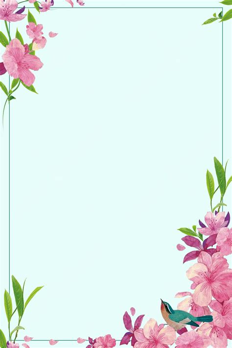 Program Implementation Pascal 的图像结果