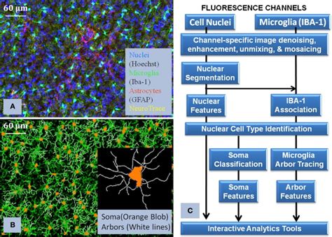 Image result for Core Processing Layer