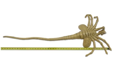 Image result for Alien Facehugger Types