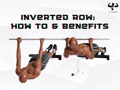 Image result for Inverted Row Exercise