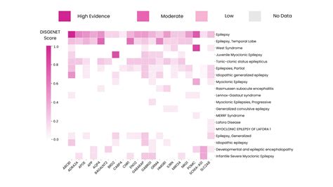 Epilepsy Genetics: How DISGENET Connects Clinical Panels