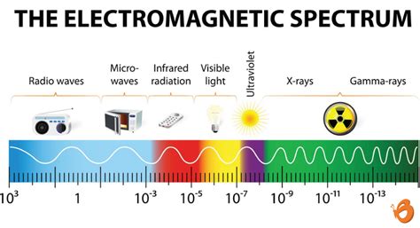 How does a Microwave Work?