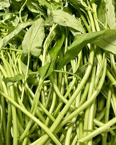 Fooks Foods (@fooksfoods) • Instagram photos and videos