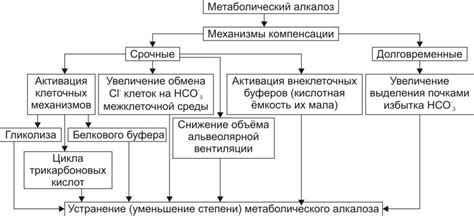 Метаболический алкалоз