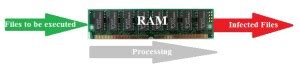 Computer Memory Viruses 的图像结果