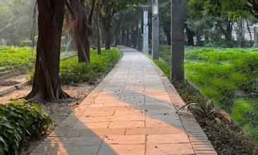 Samarpan Old Age Home