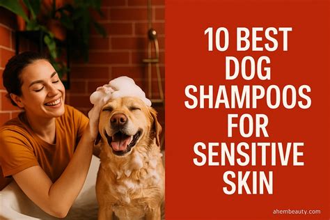 10 Best Dog Shampoos For Sensitive Skin - Ahembeauty.com