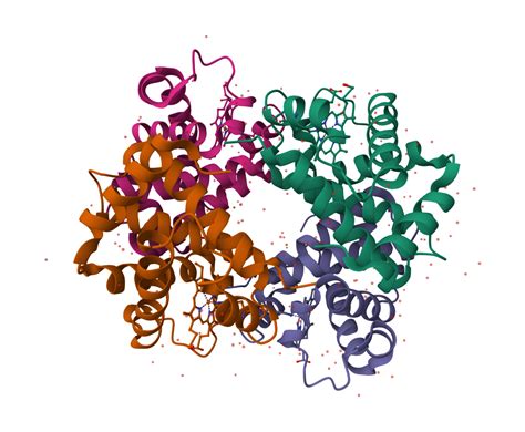 Fasta Format Converter 的图像结果
