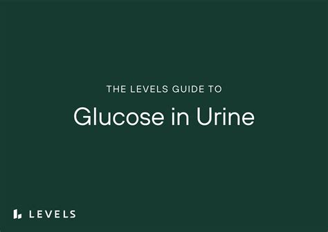 Guide to Glucose in Urine | Levels | Levels