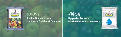 Boron 11 Micronutrient Fertilizer | Boron 10.5% Borax Sodium Tetra ...