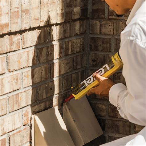 Sashco Lexel 5-oz Multi-use Clear Paintable Solvent Caulk 13017 at ...