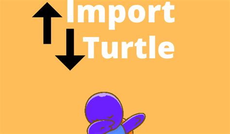 Image result for How to Get Turtle with Python in vs Code Set Up