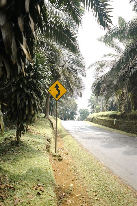 Premium Photo | Winding road signs