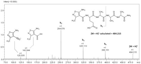 5-Amino-3-methyl-Isoxazole-4-carboxylic Acid as a Novel Unnatural Amino ...