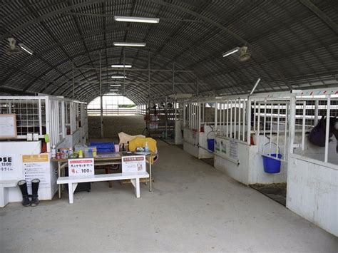 THE 10 CLOSEST Hotels to Uruma Farm