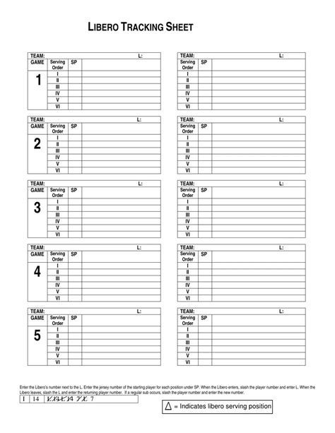 Libero Tracker Tutorial 的图像结果
