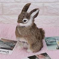 Image result for Bunny Rabbit Pink Plush