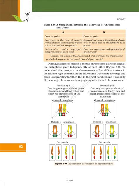Principles Of Inheritance And Variation - NCERT Book of Class 12 Biology