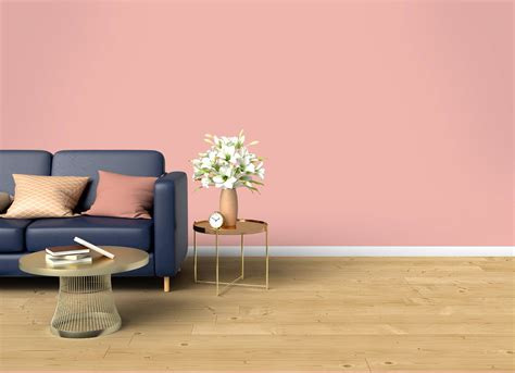 Pink Beauty | JSW Paints