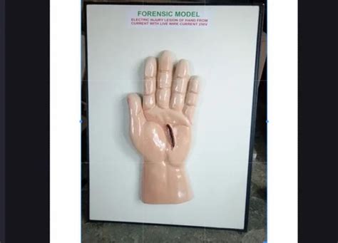 Image result for Forensic Science Model