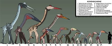 pantydraco on X | Prehistórico, Animales de la prehistoria, Animales prehistóricos