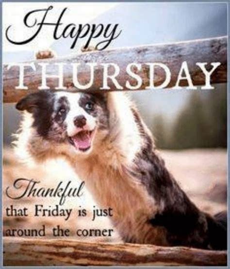 145+ Epic Funny Thursday Memes to Survive the Week - LN