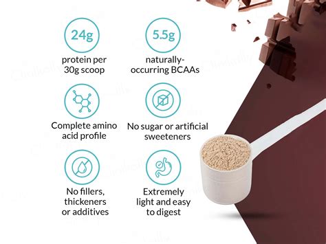 Buy Nutrova Whey Protein Isolate - Dark Chocolate Flavour Online ...