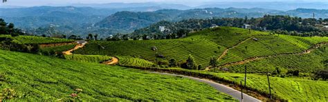 Book Now ! Munnar Honeymoon Package - Travel Ride