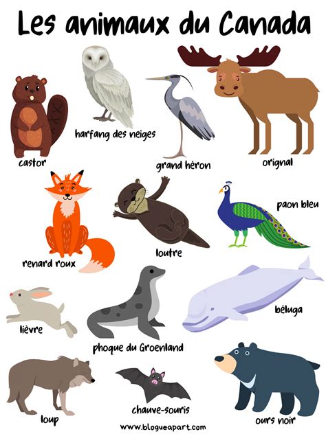 Mes imagiers – Artofit