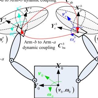 Image result for Human Coupling Position