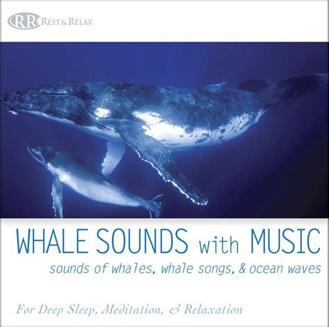 Whale Sounds with Music: Sounds of Whales, Whale Songs, & Ocean Waves ...