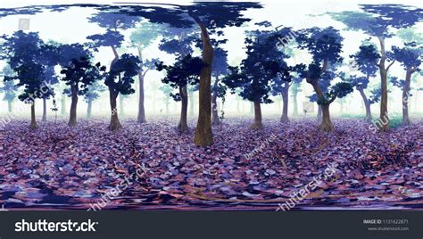 Environment Map 的图像结果