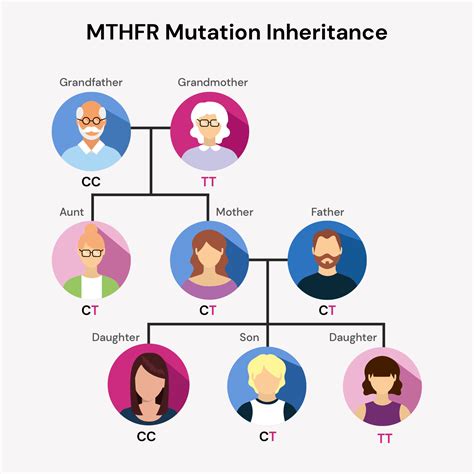 MTHFR Gene Mutations Explained: Symptoms, Risks & Testing Guide