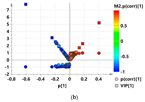 Analysis of Metabolomic Changes in Lettuce Leaves under Low Nitrogen ...