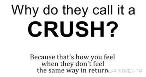 遇到了一个crush，crush究竟是什么意思? - 知乎