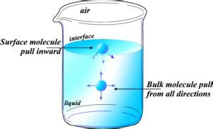 Image result for MIT OpenCourseWare Surface Tension