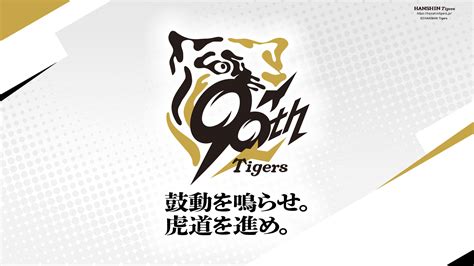 SciPy に対する画像結果