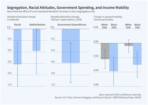 Segregation Effects 的图像结果