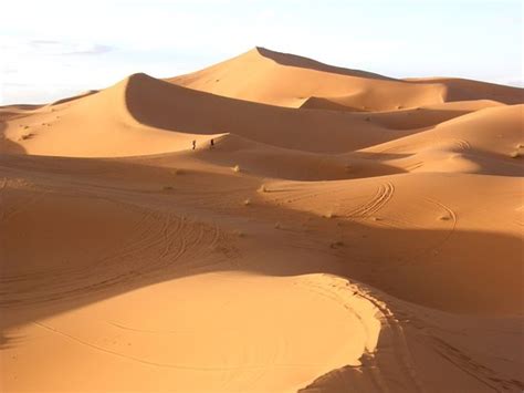 Magic Desert Trips (Agadir) - All You Need to Know BEFORE You Go