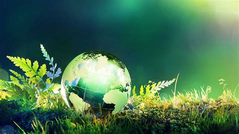 Envirodesigns Eco Labs