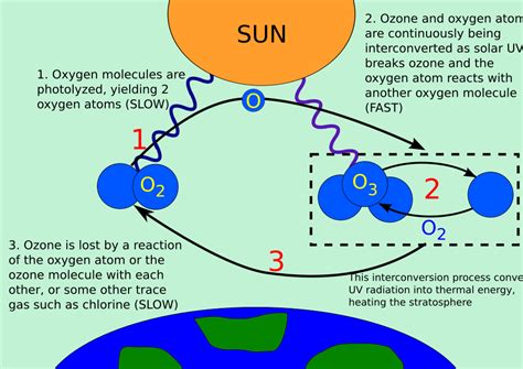 Image result for Ozone Molecule Formation