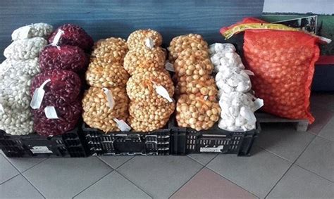 U srijedu podjela sjemenskog materijala | Foča24 | informativni portal