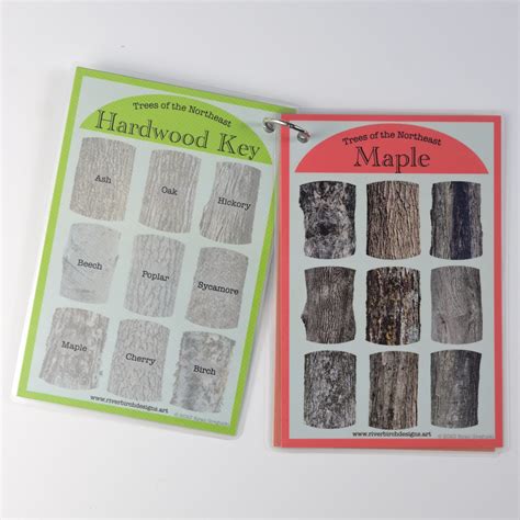 Image result for Tree Identification Guide With