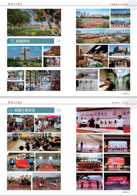 2020年河南省成人高等学校招生报名流程_洛阳理工学院继续教育学院